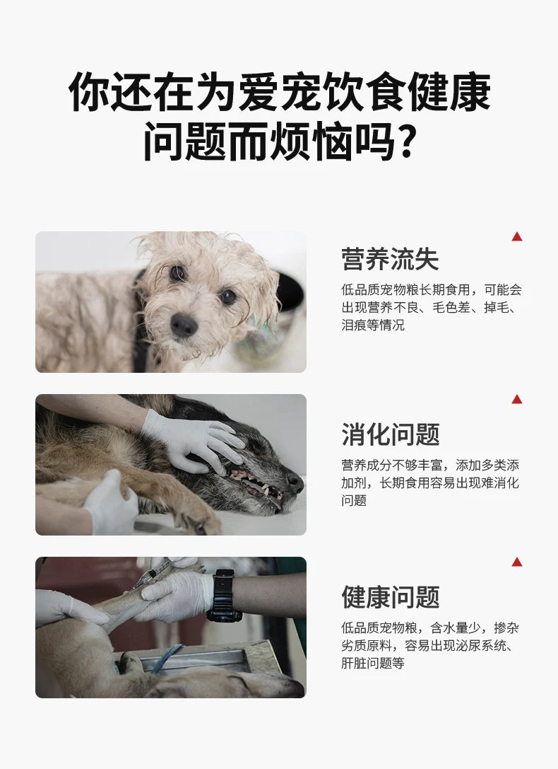 Pet Cooking Machine Multifunctional Cat and Dog Fresh Food Snacks Staple Food Homemade Cooking