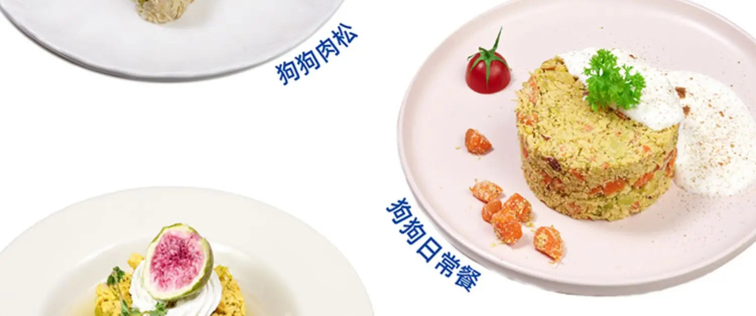 Pet cooking machine multi-functional cat and dog snacks staple food one-click start fresh and healthy